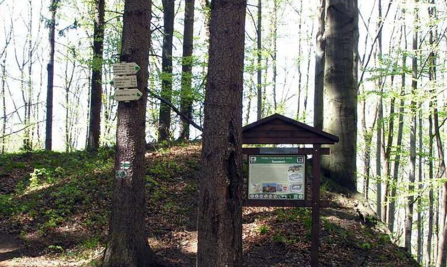 Zřícenina Hradu Šaumburk, Czech Republic (Czechia)